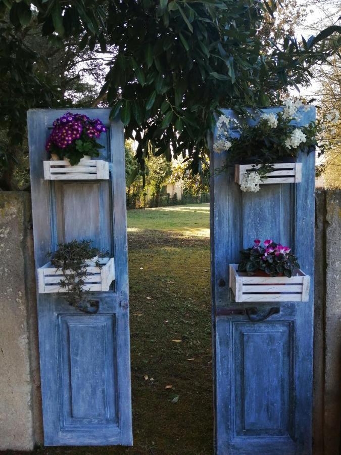B&B Fetonte Crespino Extérieur photo