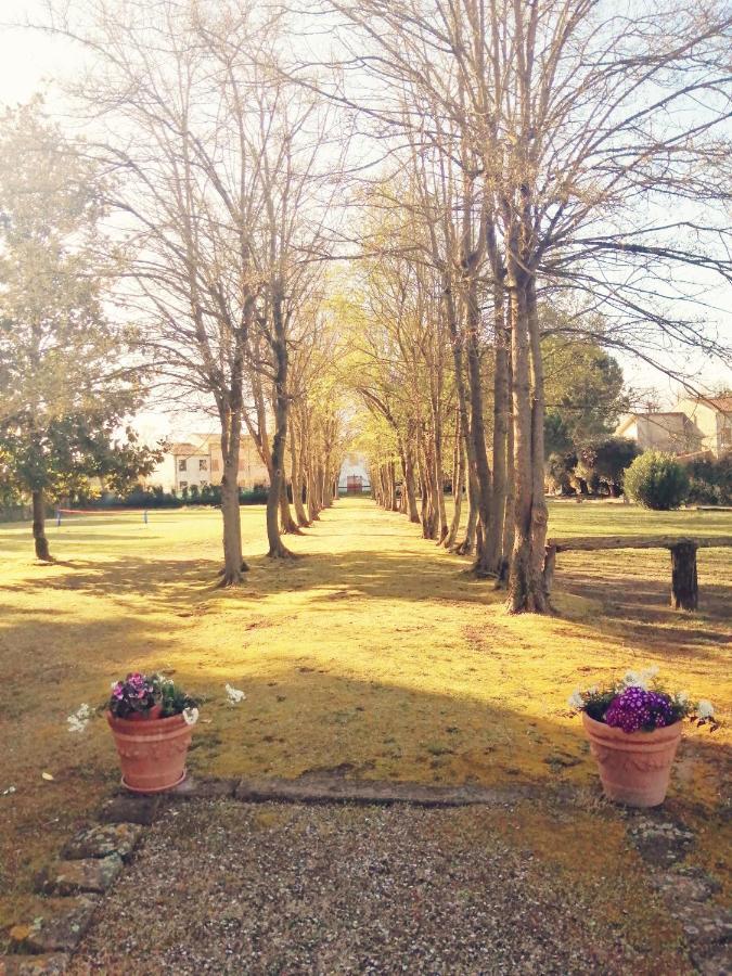 B&B Fetonte Crespino Extérieur photo