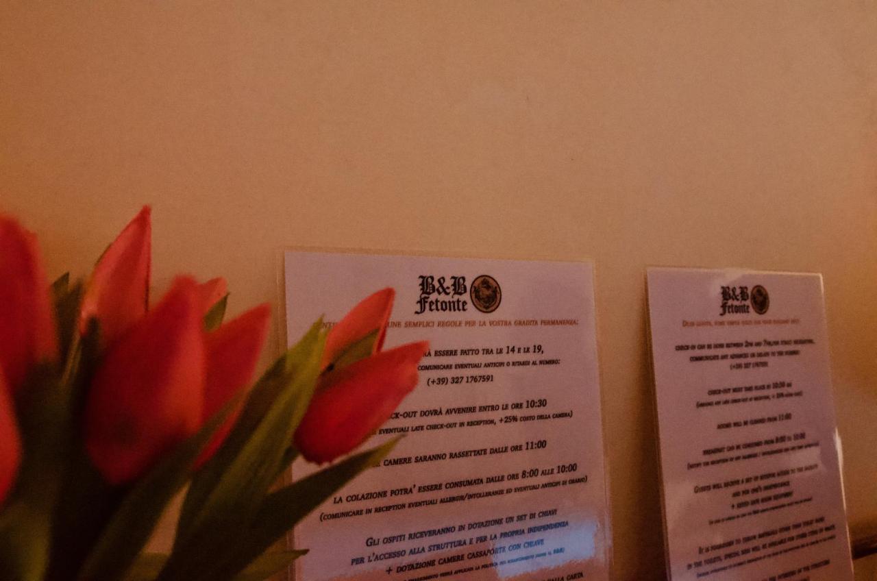 B&B Fetonte Crespino Extérieur photo