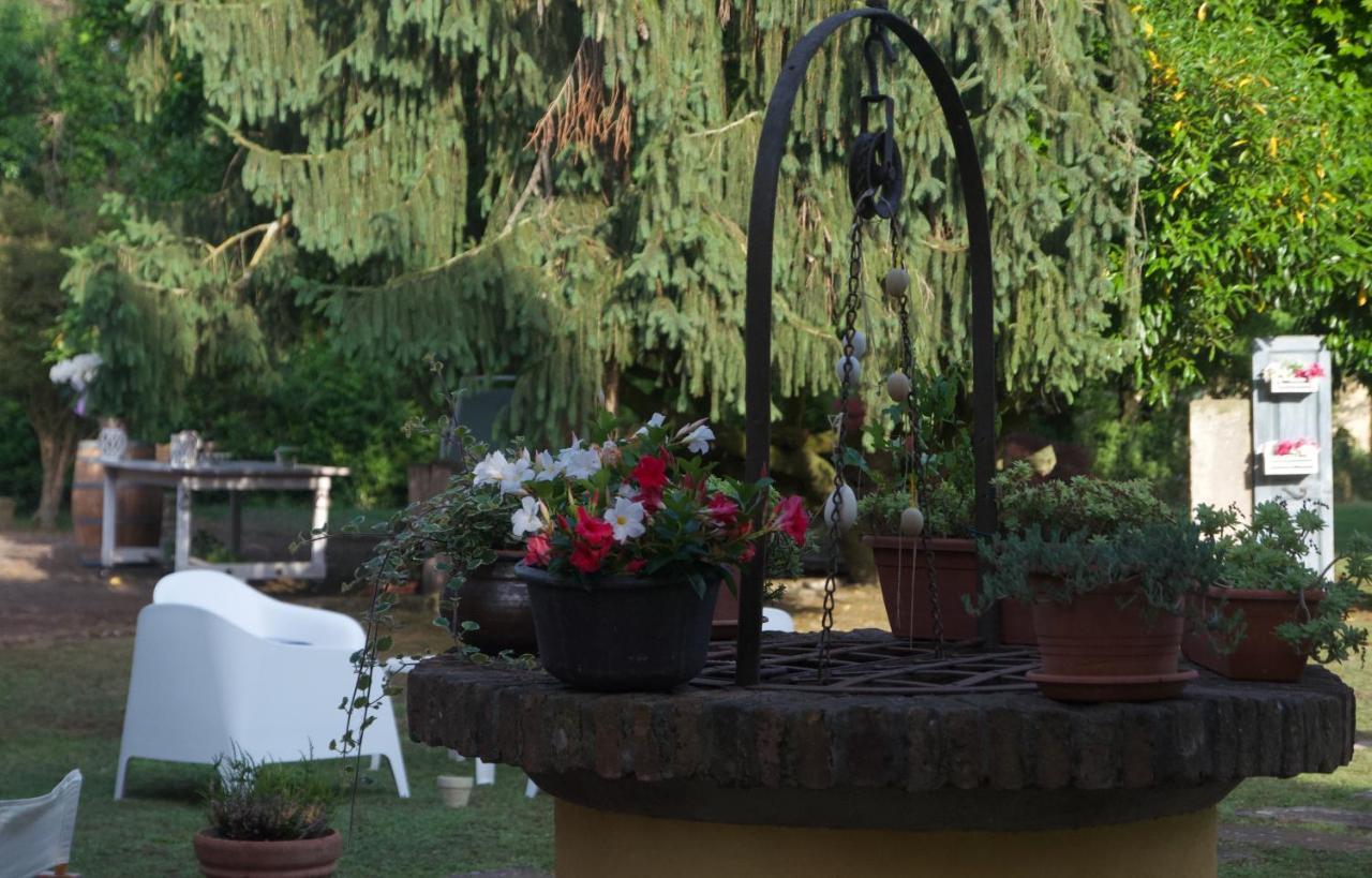 B&B Fetonte Crespino Extérieur photo